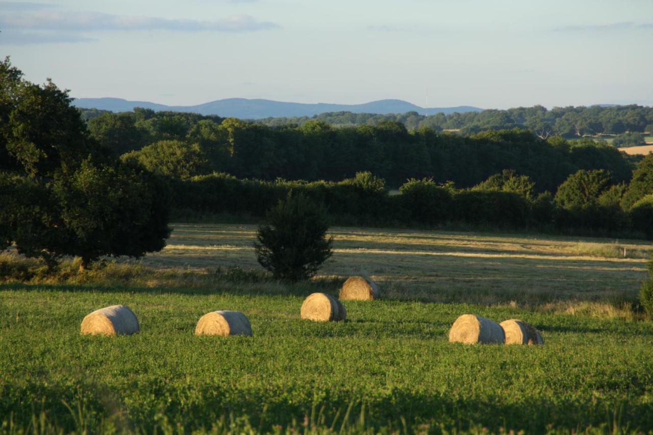 Domaine De Savigny Bed and Breakfast Saint-Saulge Exteriör bild