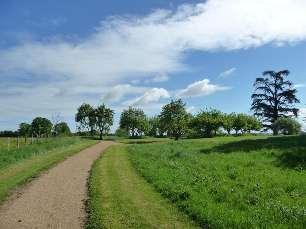 Domaine De Savigny Bed and Breakfast Saint-Saulge Exteriör bild