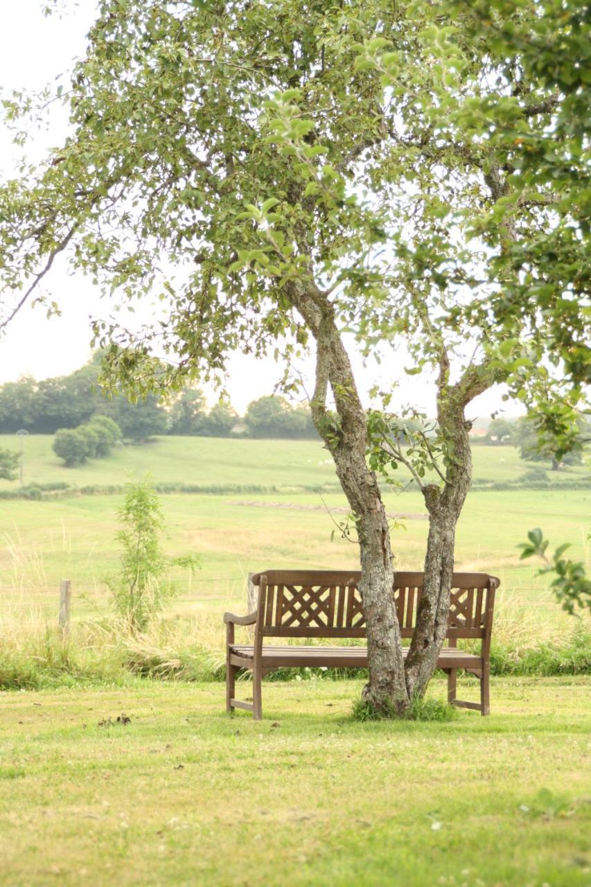 Domaine De Savigny Bed and Breakfast Saint-Saulge Exteriör bild